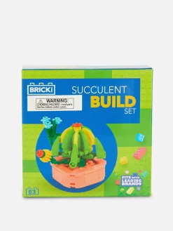Boques De Construcción Para Suculentas