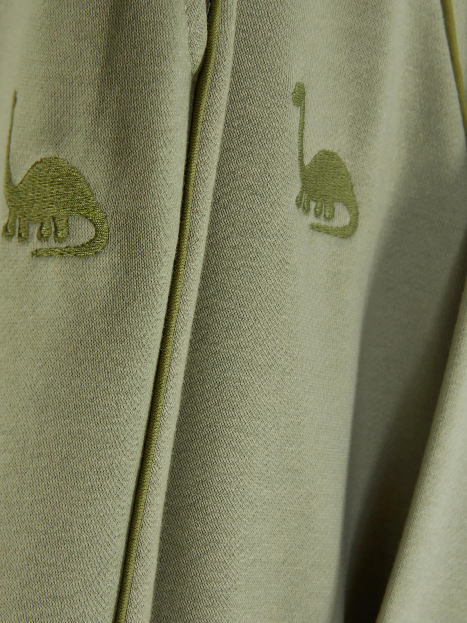 Conjunto De Sudadera Y Joggers De Dinosaurios