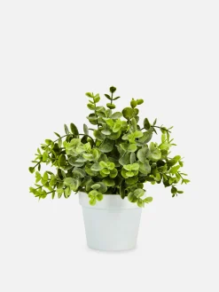 Pequeña Planta De Eucalipto Artificial
