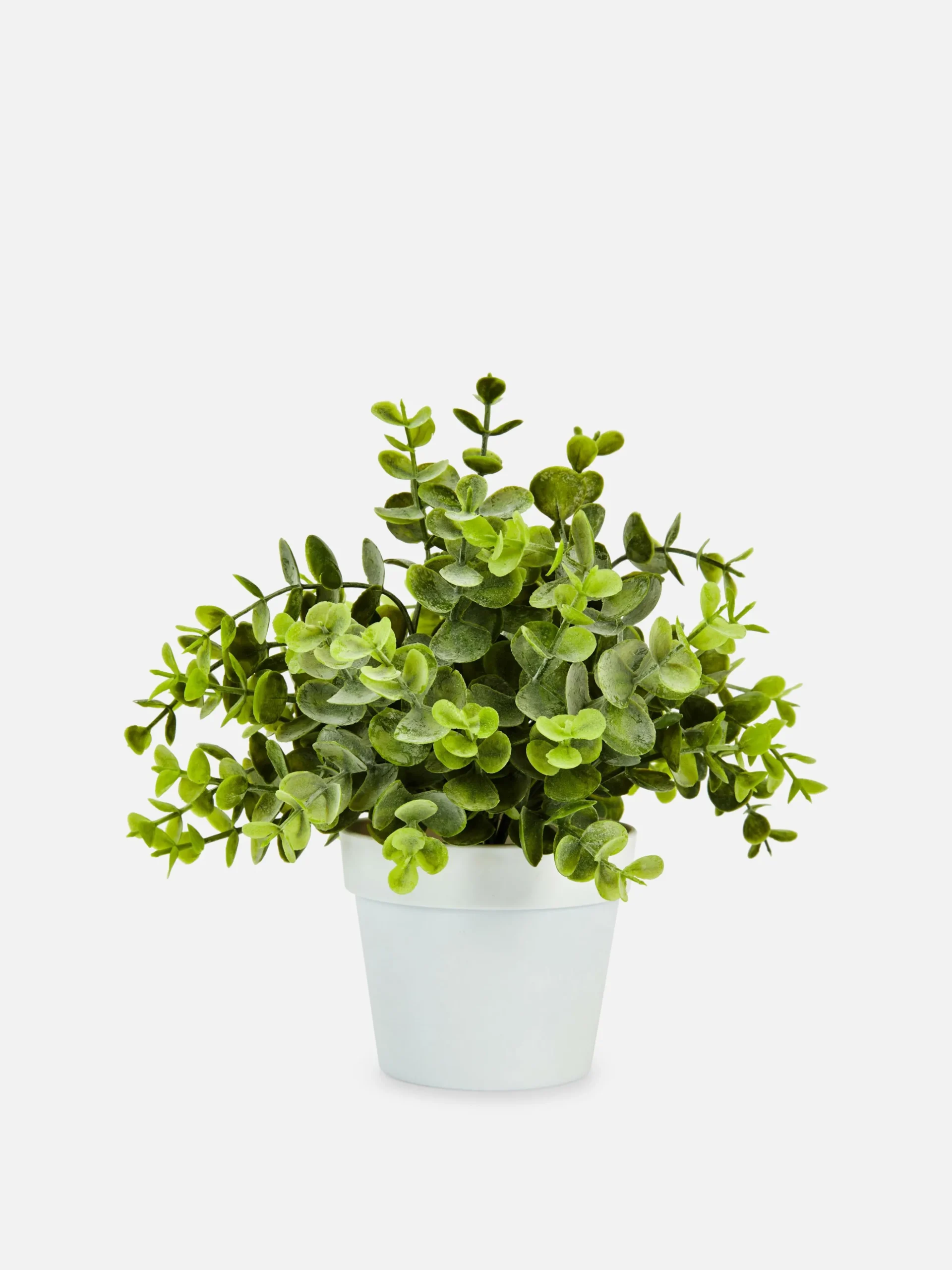Pequeña Planta De Eucalipto Artificial