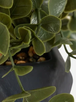Suculenta Artificial En Maceta Geométrica Colgante